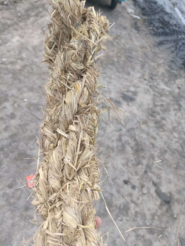 稻草草棒
