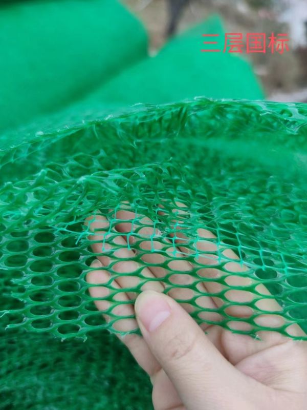三维植被网护坡是指什么