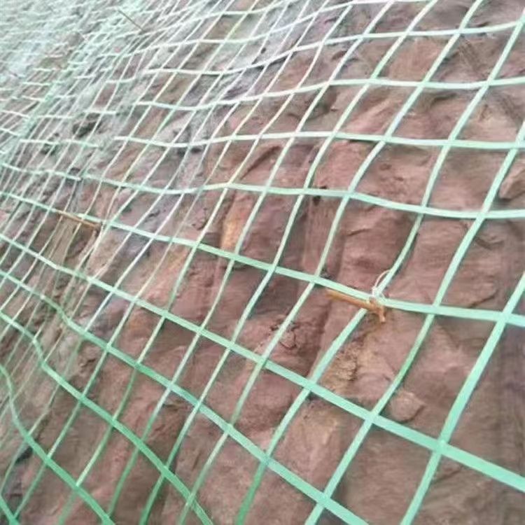 边坡种植绿色加钢丝土工格栅