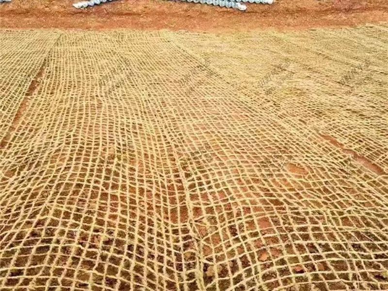 客户使用现场
