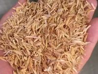 绿化稻壳