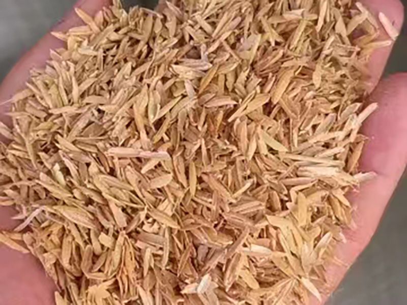绿化稻壳