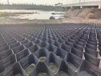 蜂巢格室
