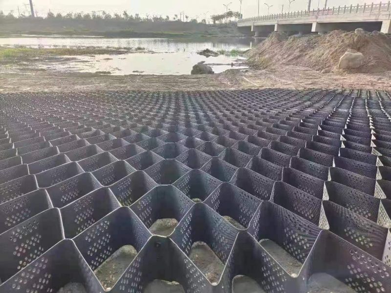 蜂巢格室