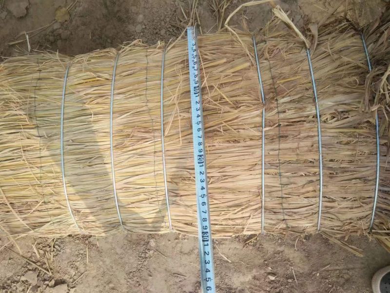 火车汽车运输圆柱形货物加固 卷钢运输草支垫